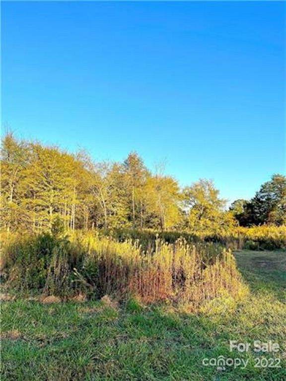 873 Tirzah Road - Photo 1