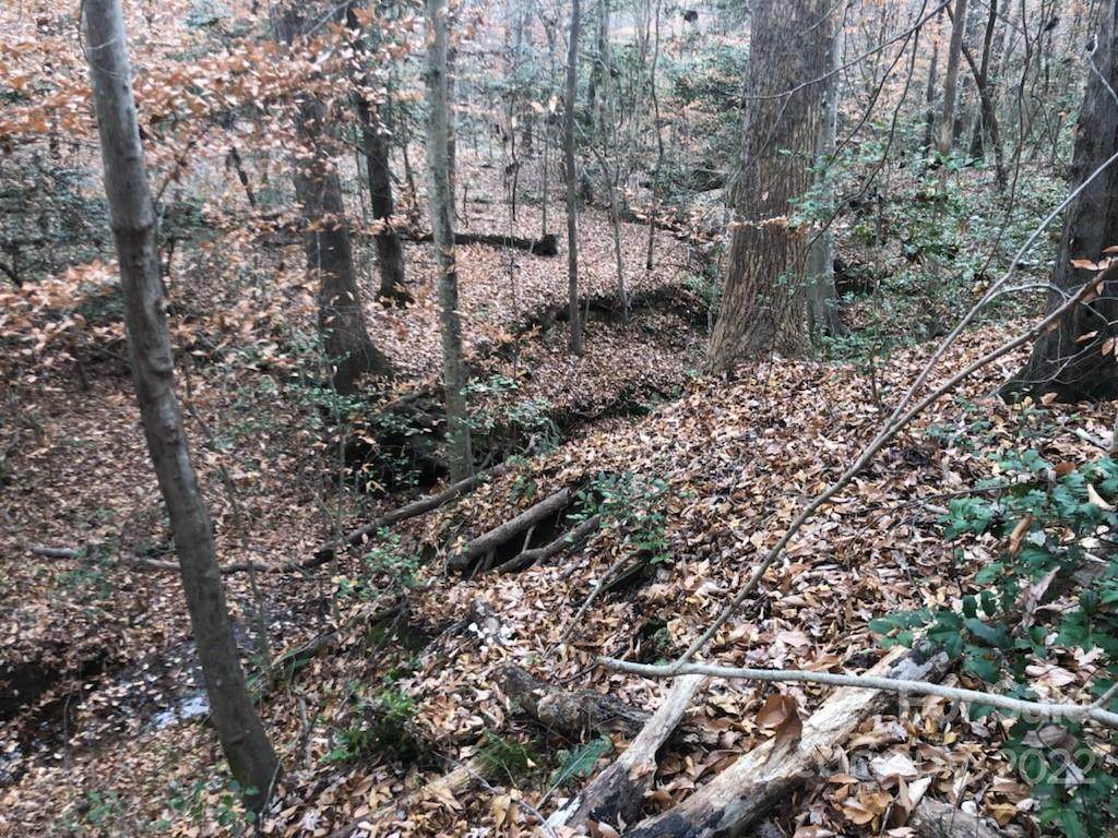 00 Broad River Lane - Photo 1