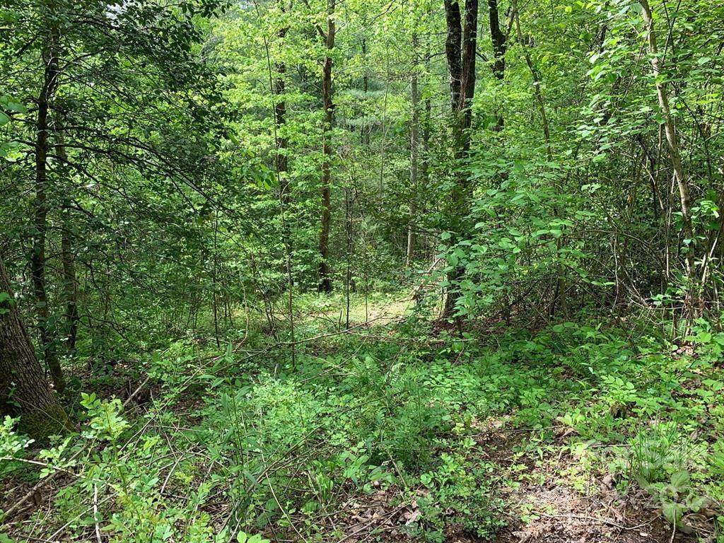 0 Us Hwy 129 - Photo 1