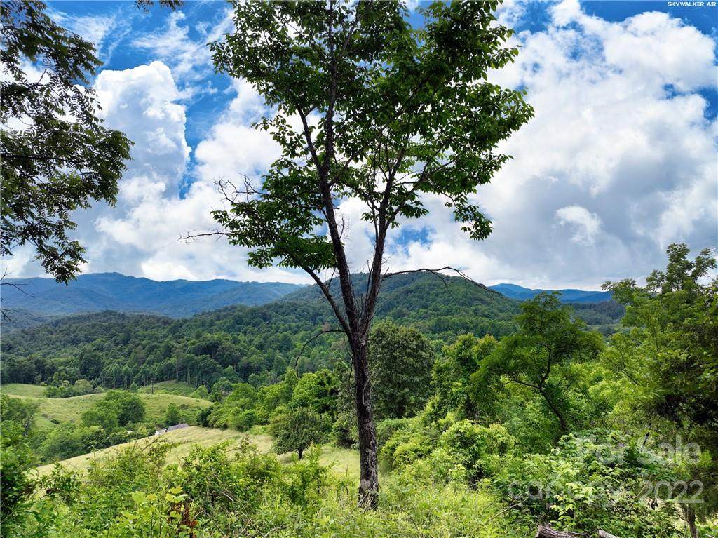 100 Robinson Holler Road - Photo 1