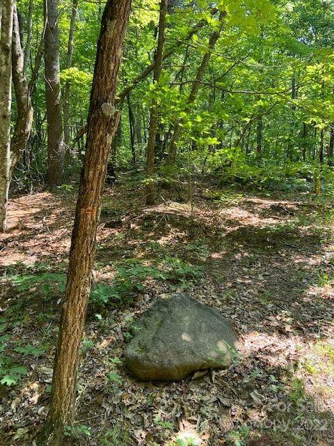 0 Roper Hollow Road - Photo 1