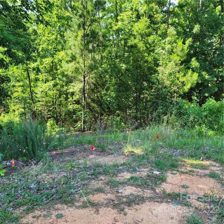 1000 Lyndon Drive - Photo 1