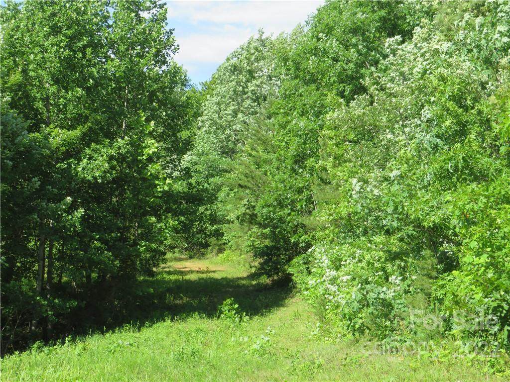 0 Piney Knob Road - Photo 1
