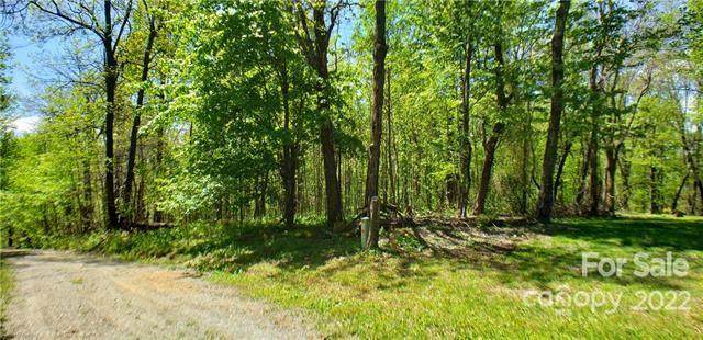 Lot 6 Deer Run - Photo 1