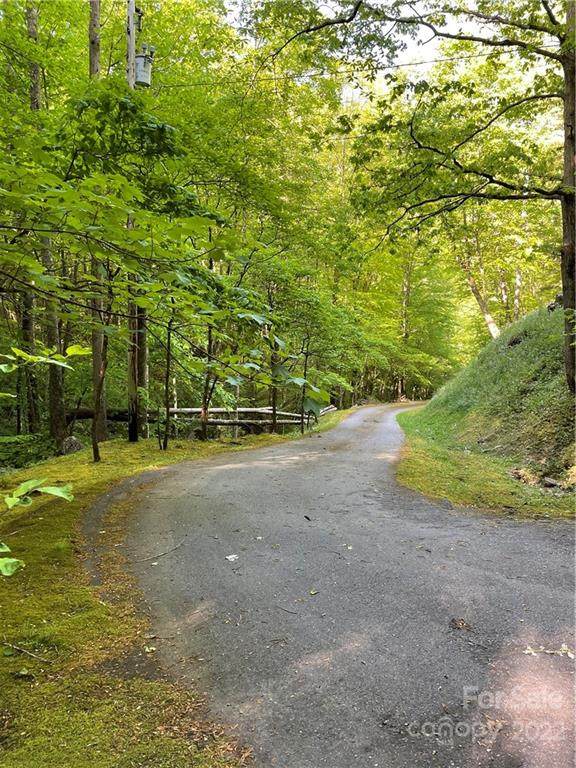 00 Upper East Fork Road - Photo 1