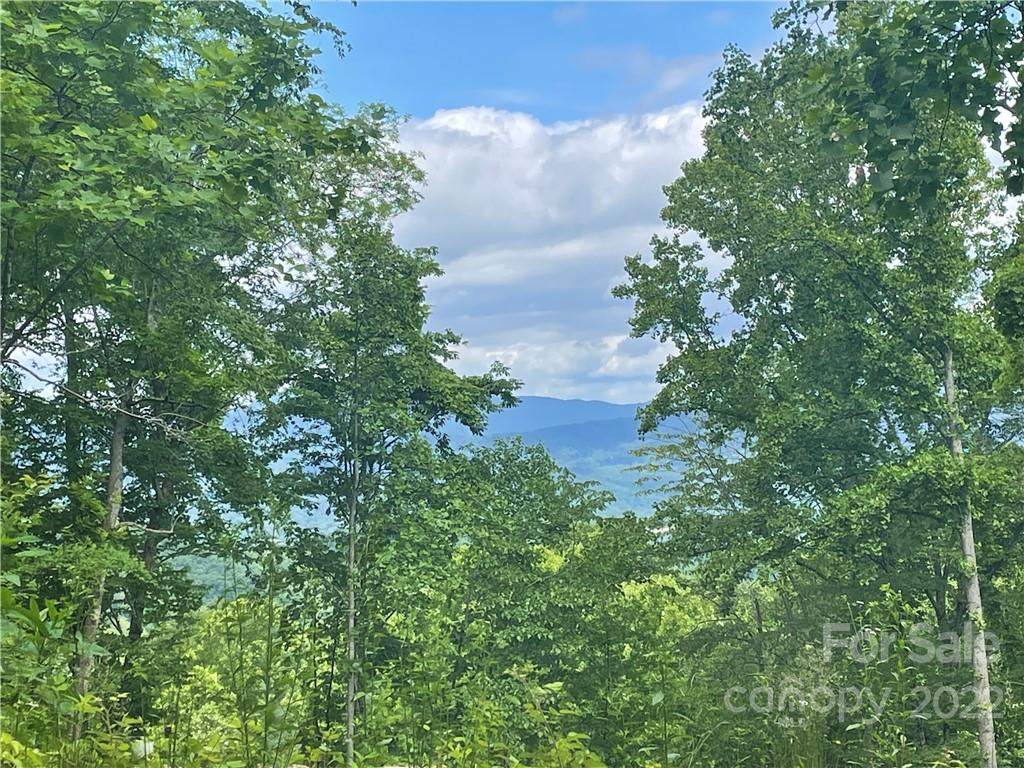 297 High Hickory Trail - Photo 1