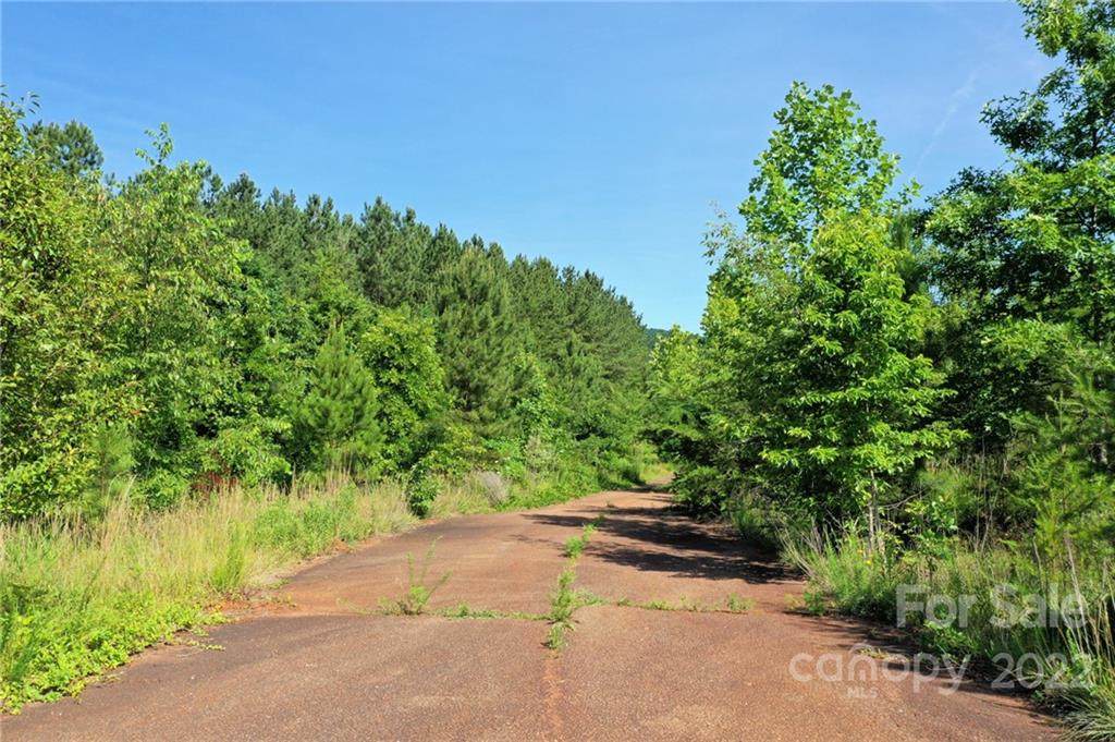 0 Bostic Sunshine Highway - Photo 1