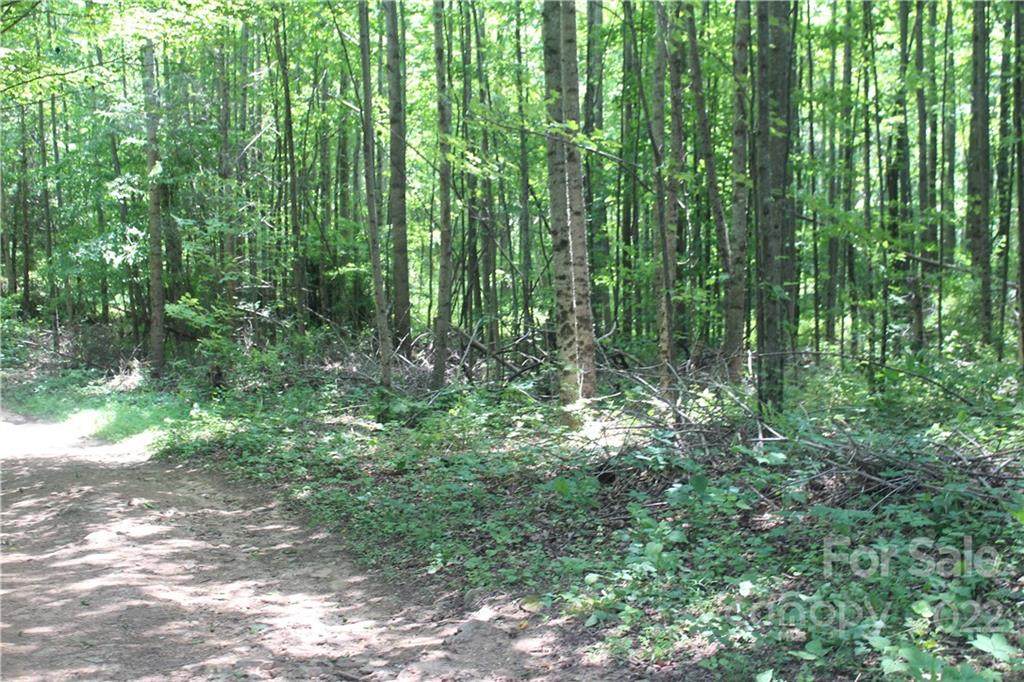 000 Garvel Mountain Road - Photo 1