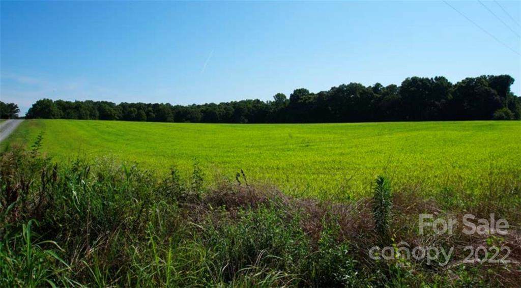 0 Roanoke Church Road - Photo 1