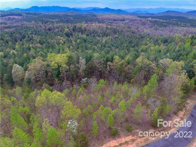 V/L Scenic Vista Drive - Photo 1