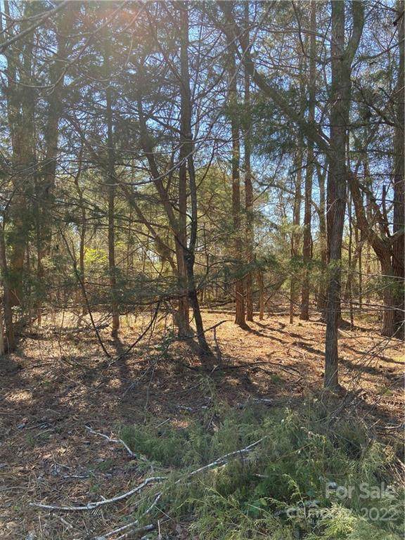 000 North Corner Road - Photo 1