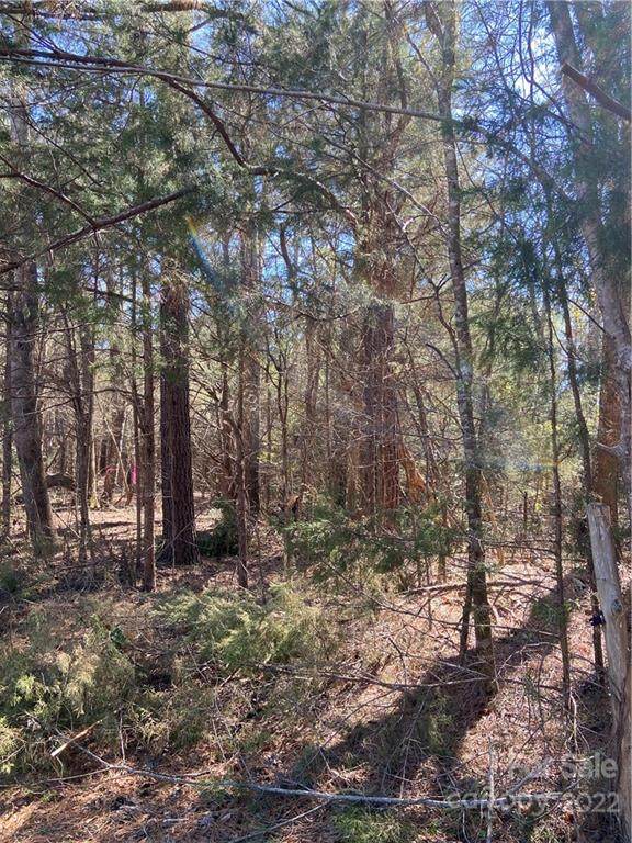 000 North Corner Road - Photo 1