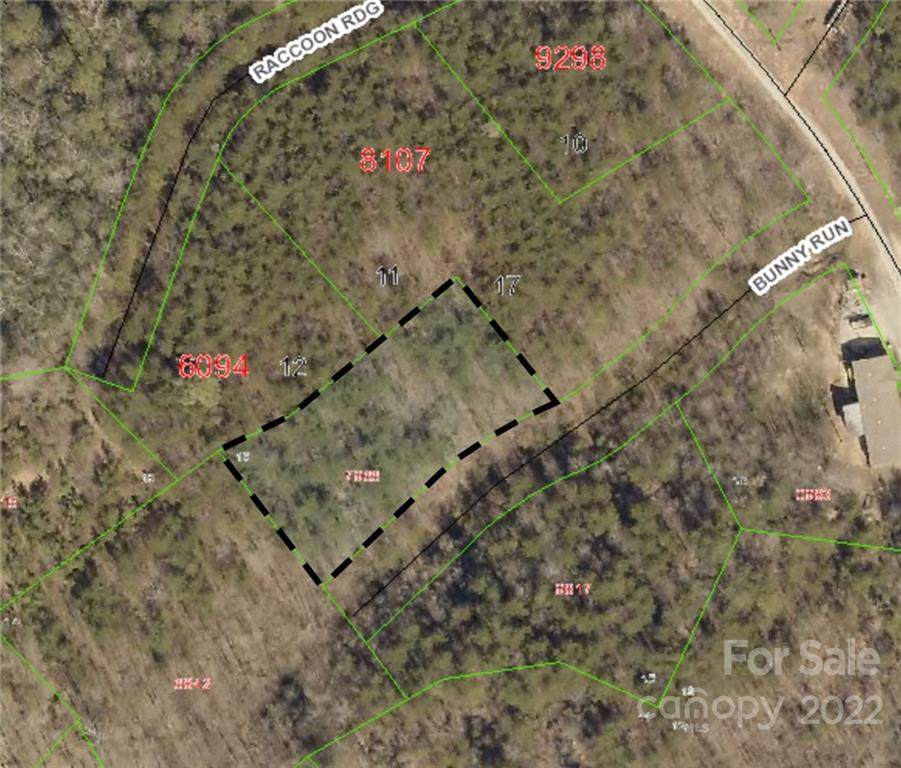 Lot 16 Bunny Run - Photo 1