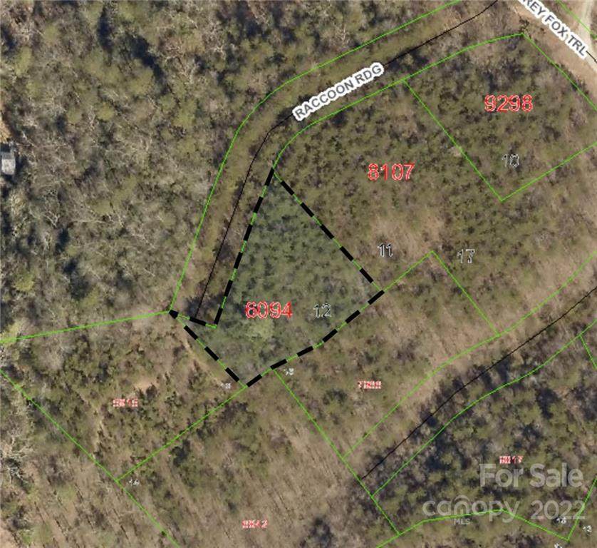 Lot 12 Raccoon Ridge - Photo 1