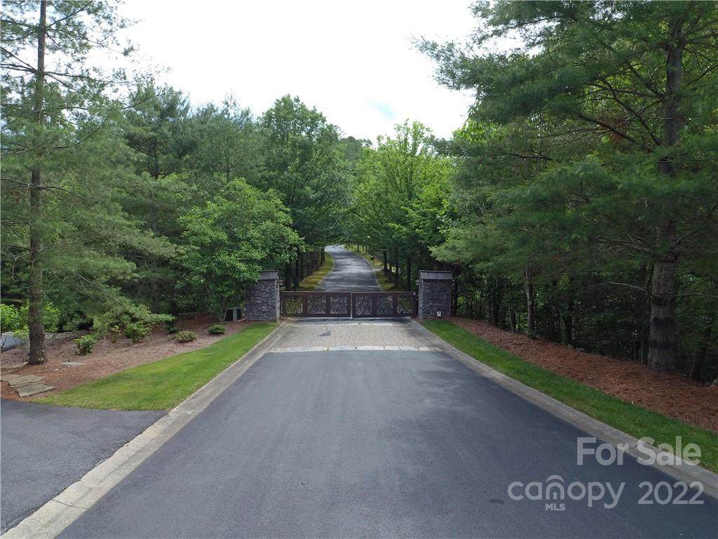 1167 Mills River Way - Photo 1