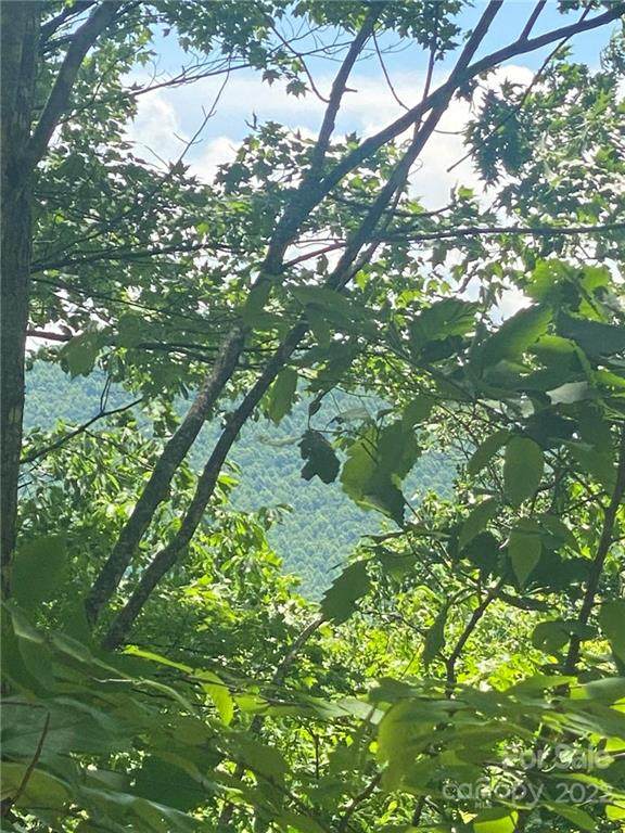 TBD Mill Creek Road - Photo 1
