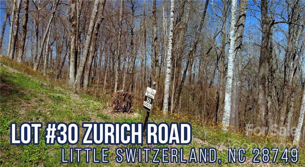 Lot 30 Zurich Road - Photo 1