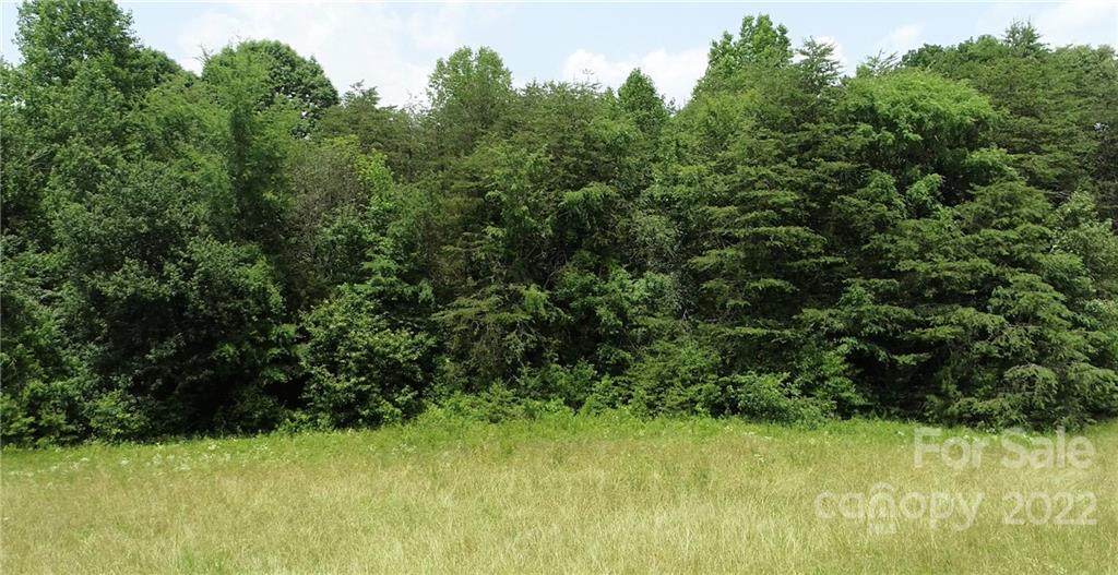 TBD Maiden Salem Road - Photo 1