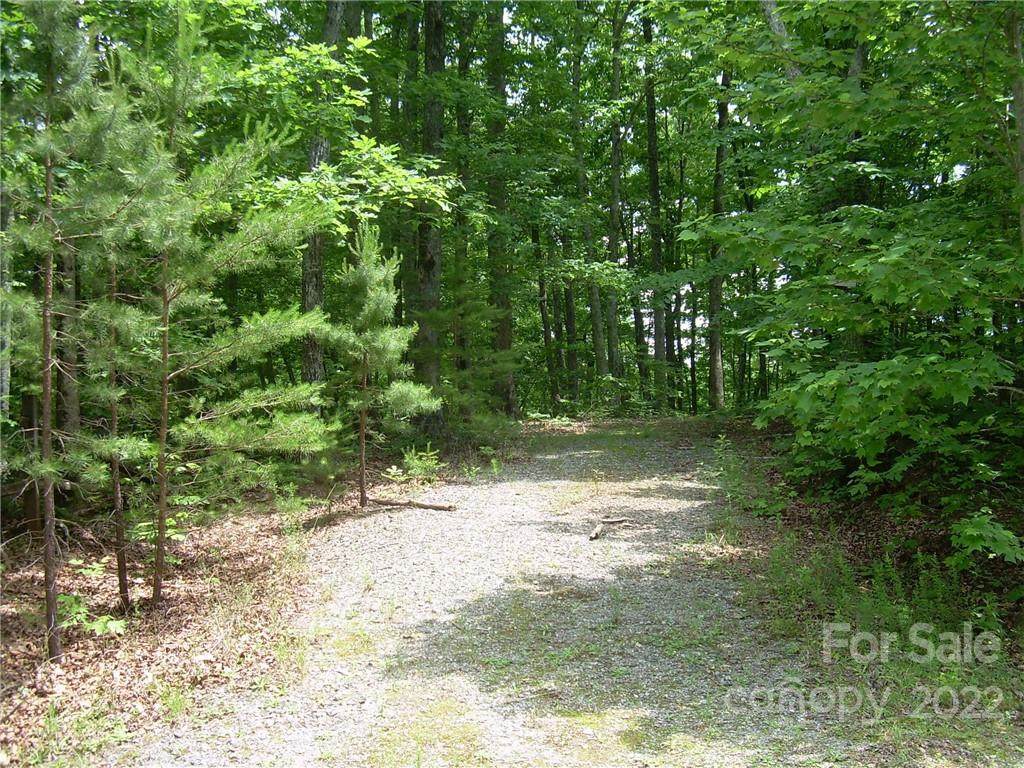 59 Aspen Trail - Photo 1