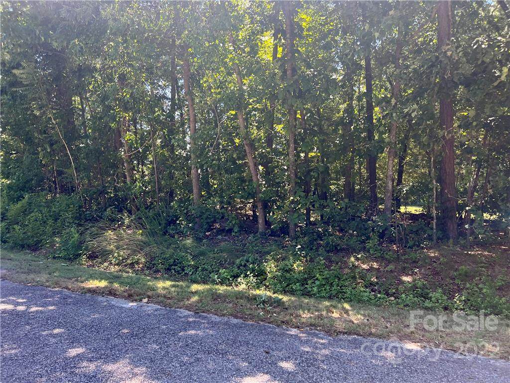 0 Daniels Road - Photo 1