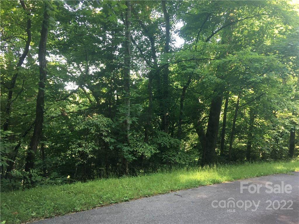 0 Trimont Mountain Road - Photo 1