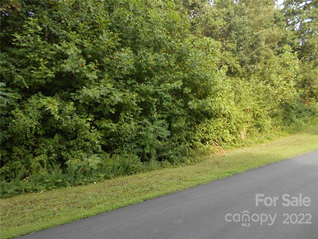 00 Snow Creek Road - Photo 1
