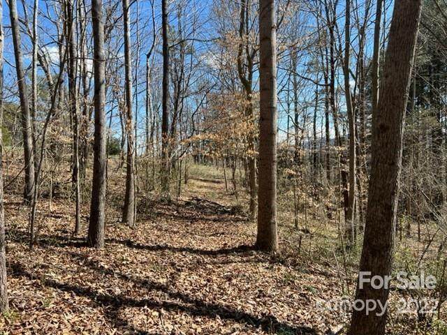 9999 Starnes Cove Road - Photo 1