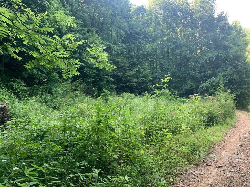 0 Cody Road - Photo 1