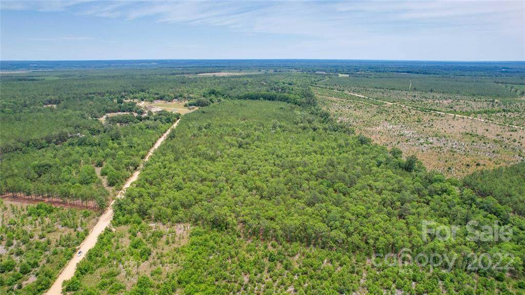 2229 Shamrock Road - Photo 1