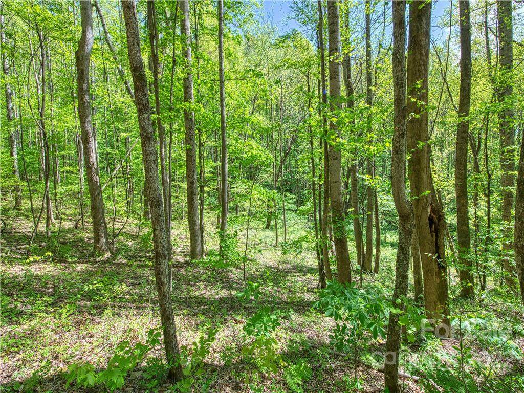 00 Rustic Road - Photo 1