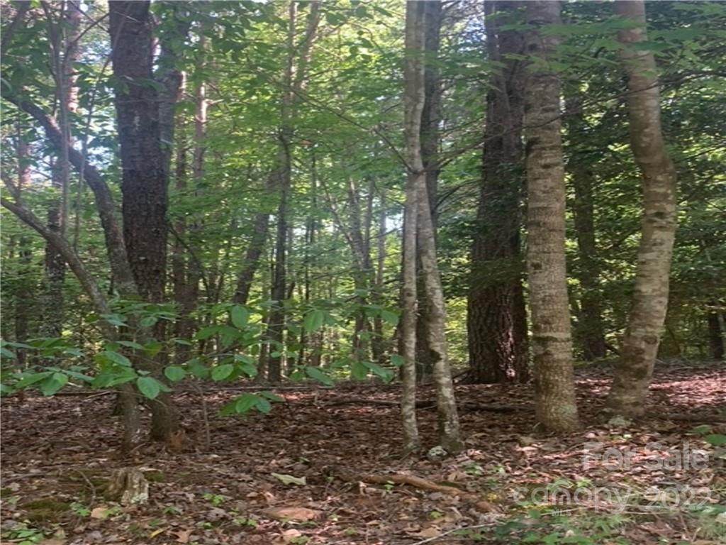 LOT 15 Shumont Estates Drive - Photo 1
