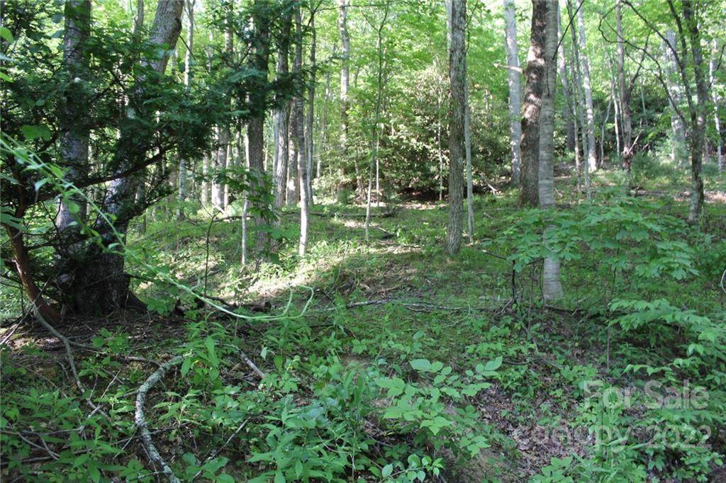 5618 Pitts Road - Photo 1