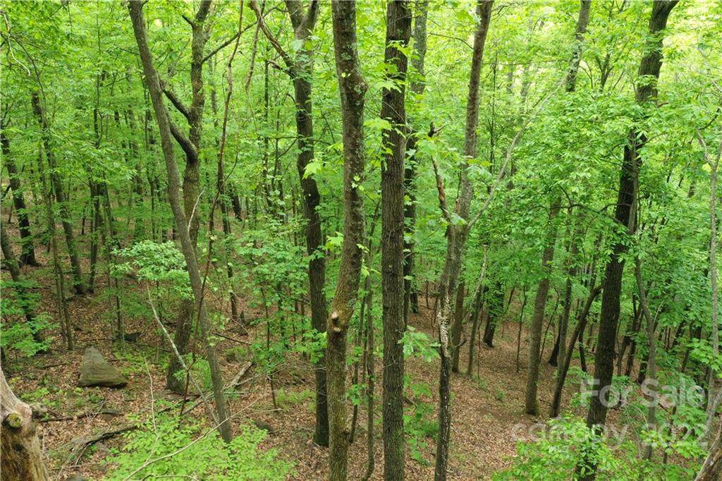 99999 Laurel Drive - Photo 1