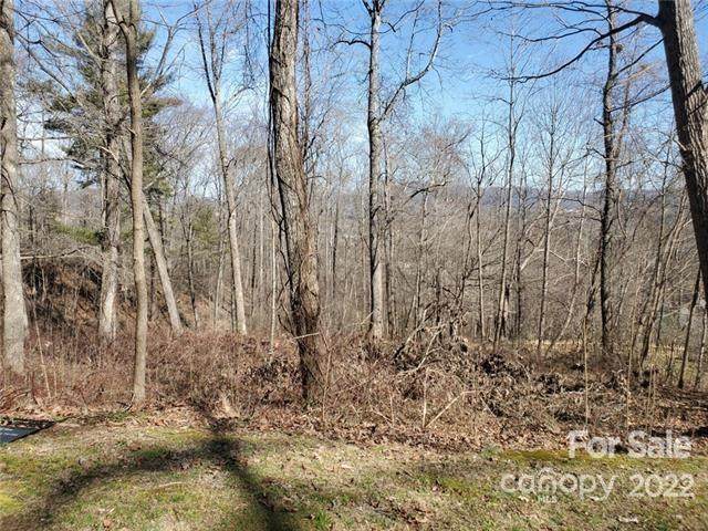 688 Carrie Drive - Photo 1