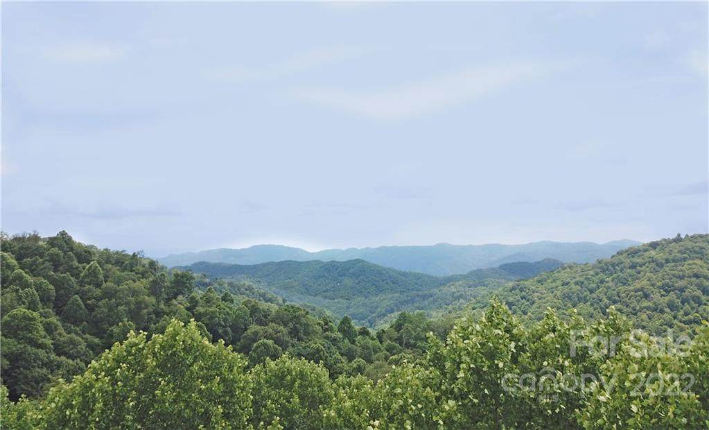 TBD Poplar Gap Road - Photo 1