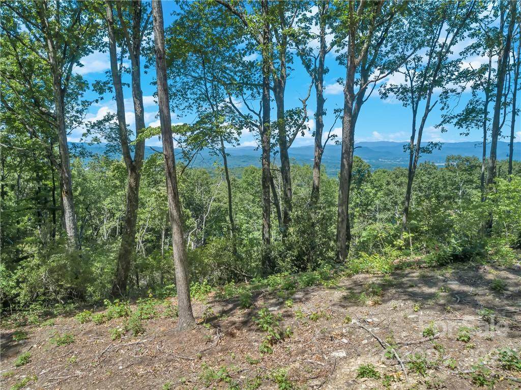 0 Mountain Grove Lane - Photo 1