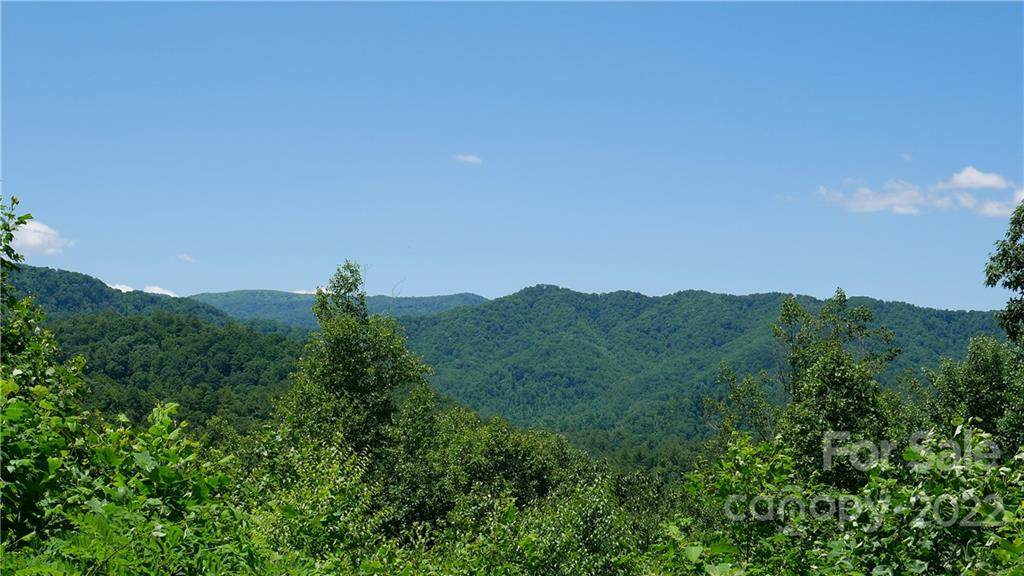 145 Raspberry Lane - Photo 1