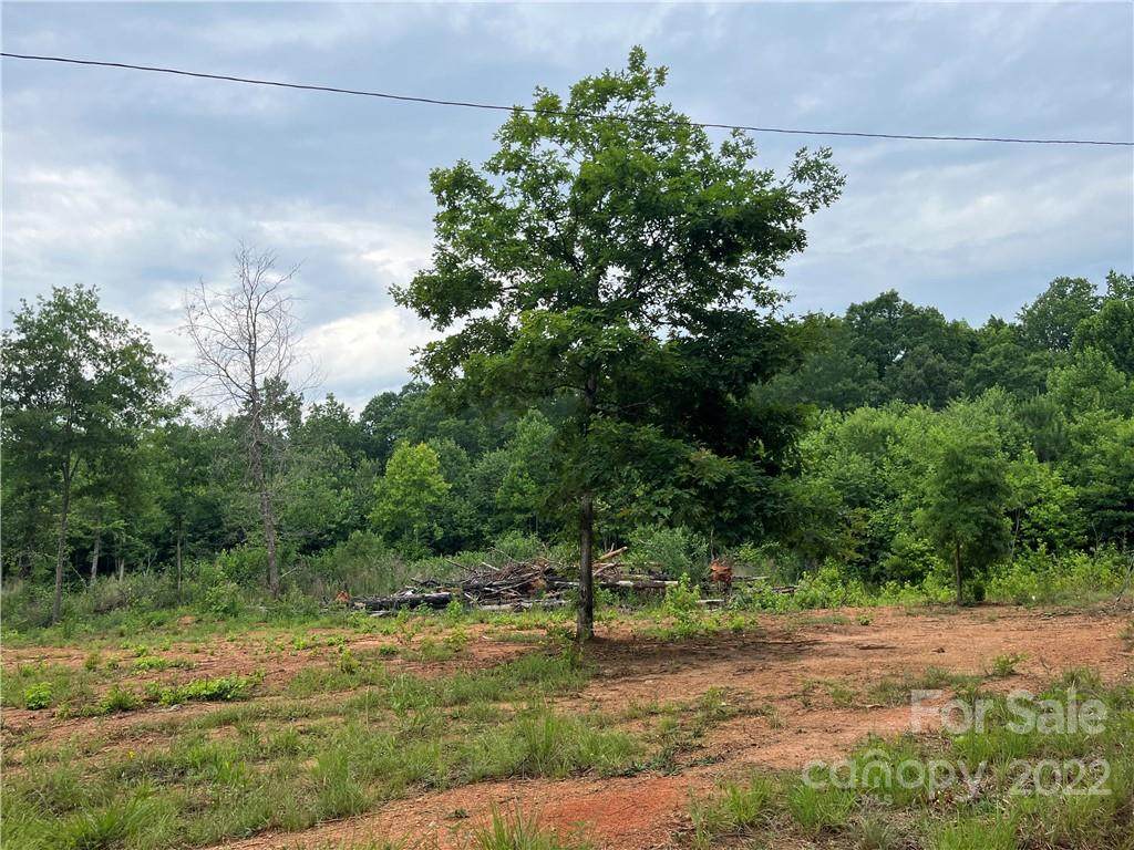 00 Lilly Trail - Photo 1