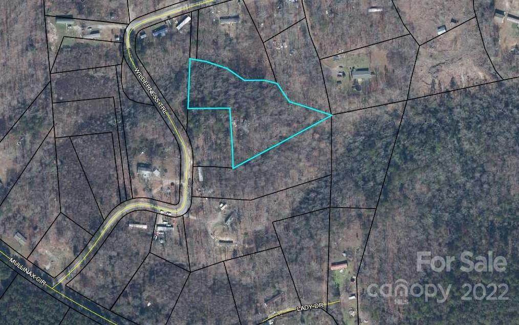 146 Wilderness Trail Trail - Photo 1