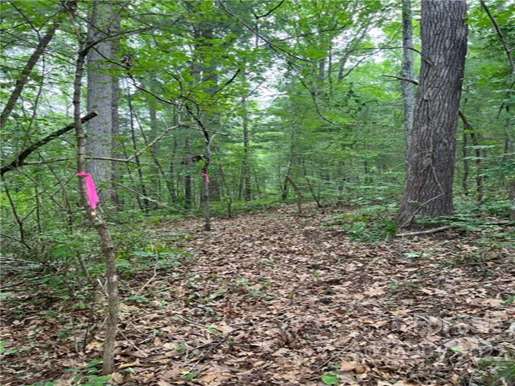 9999 Herron Point Lane - Photo 1