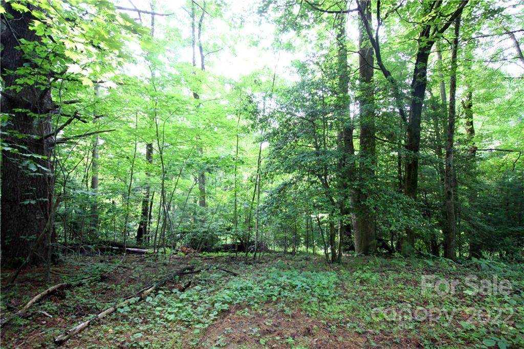 Lots 319B & 319A Severy Lane - Photo 1