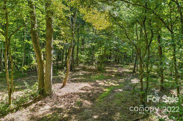 99999 Shady Brook Lane - Photo 1