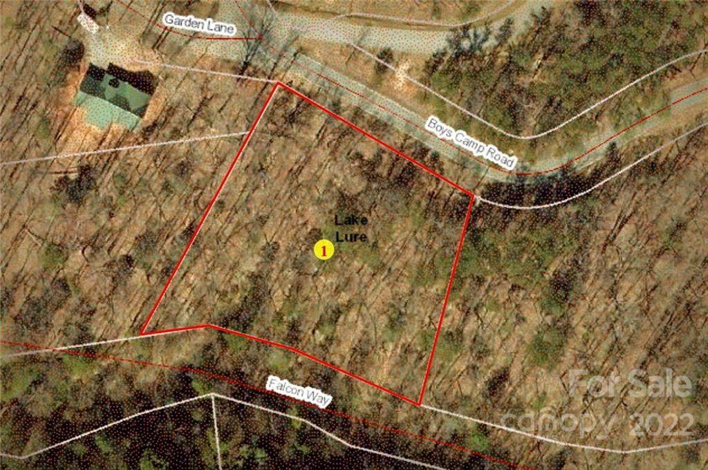 TBD Boys Camp Road - Photo 1