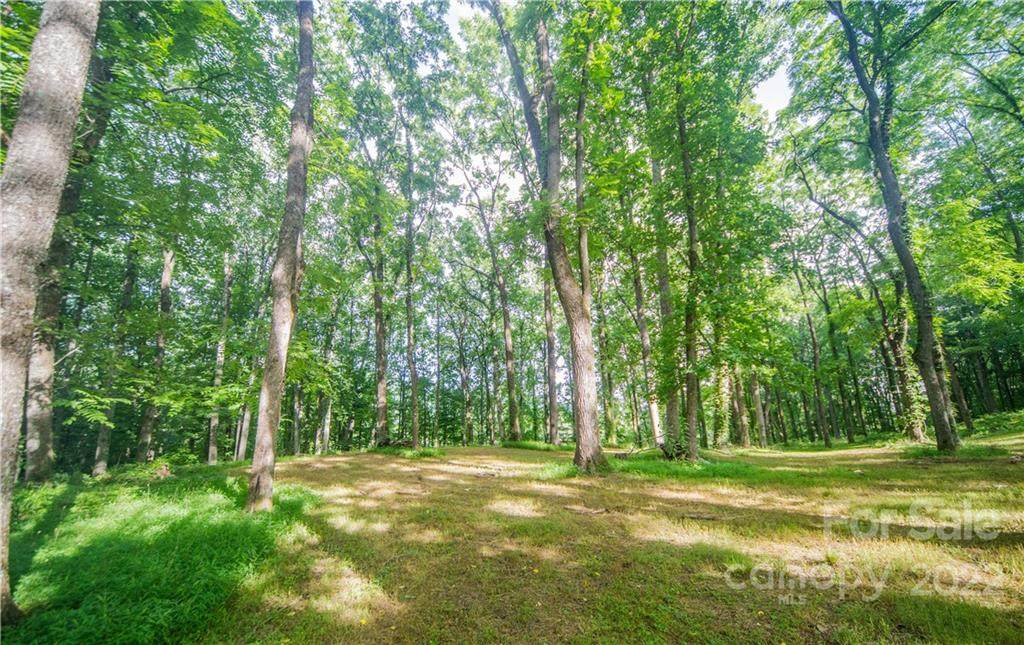 88 Powder Springs Trail - Photo 1