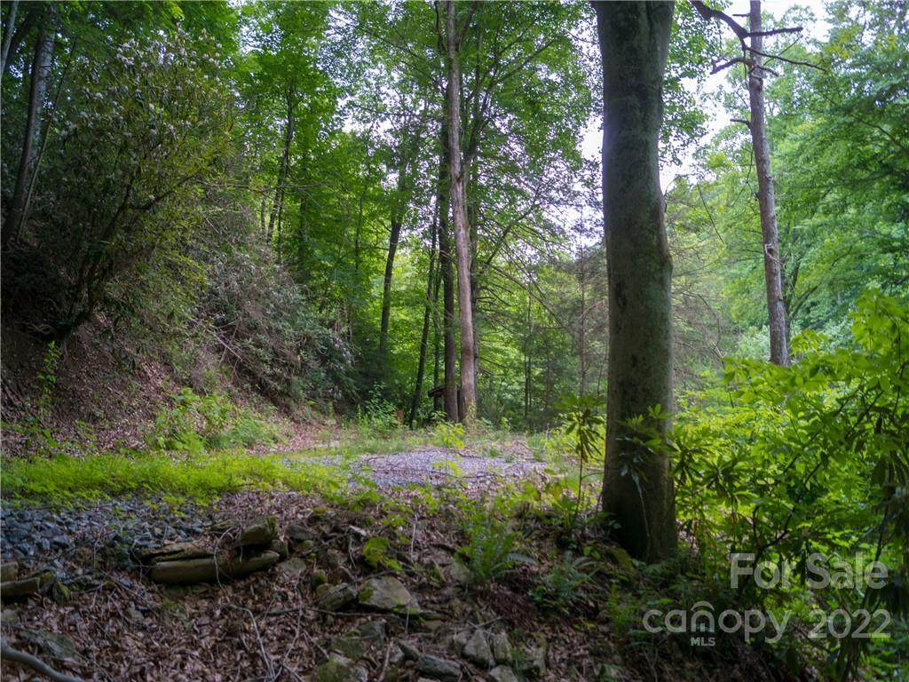 0 Pearson Falls Road - Photo 1