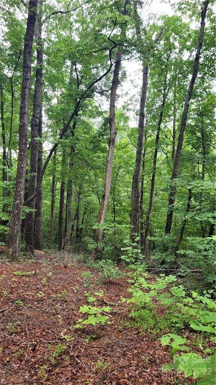 #25 Crooked Creek Estates Drive - Photo 1