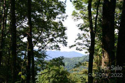 62 Grassland Pond Road - Photo 1