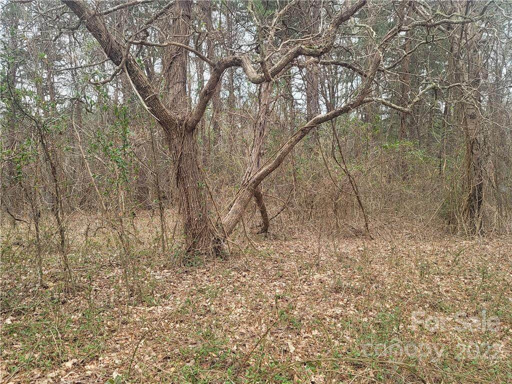 157 Cowpoke Lane - Photo 1