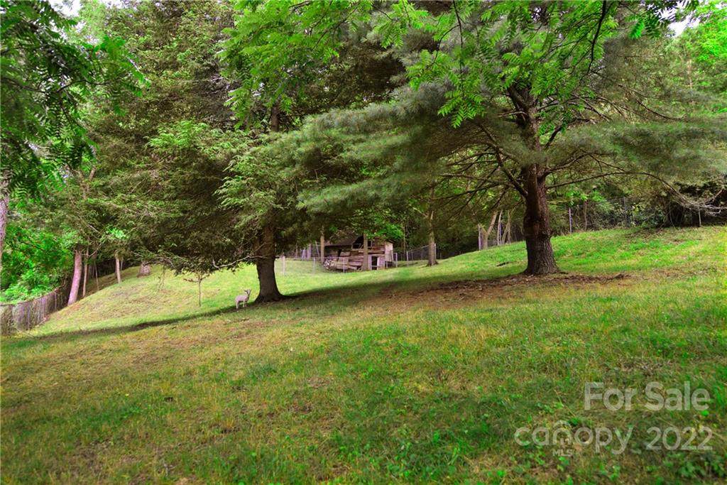 80 White Rock Branch Road - Photo 1