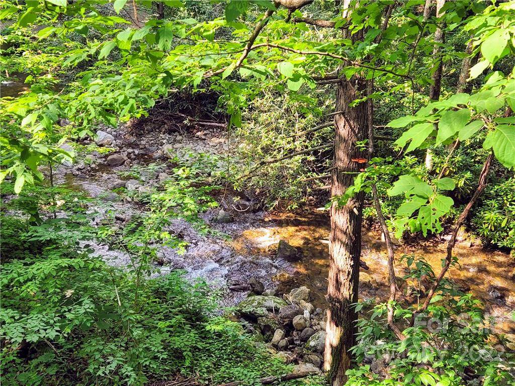 000 Pisgah Creek Road - Photo 1